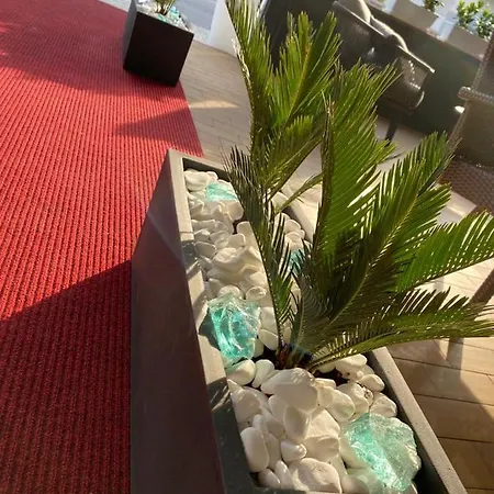 ホテル Hc Lignano 3*